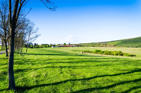 Vue sur champ vert — Photo