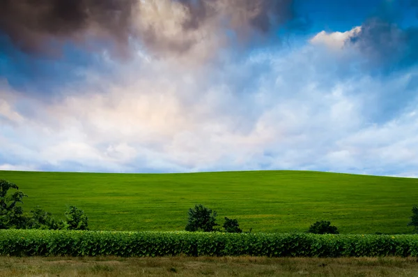 Night background view — Stock Photo, Image