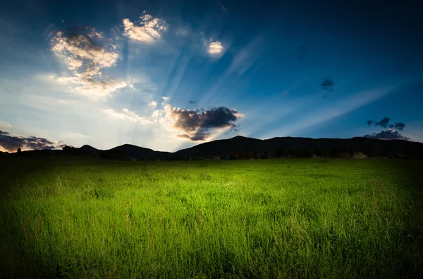 Beautiful night sky — Stock Photo, Image