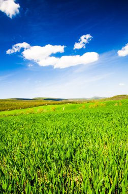 Yeşil alan görünüm