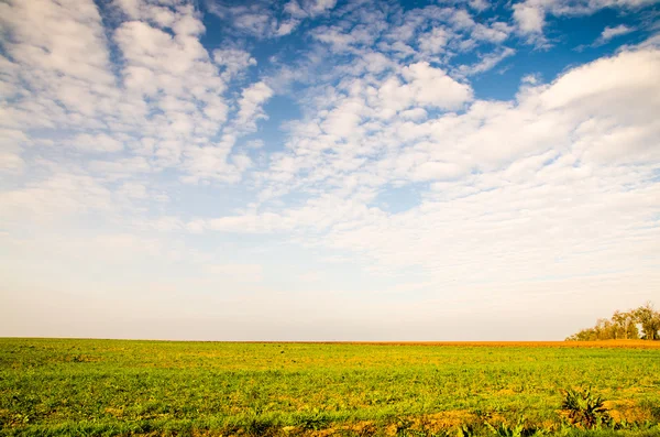 Yeşil alan görünüm
