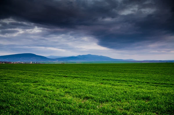 Zielone pole z ciemne chmury — Zdjęcie stockowe