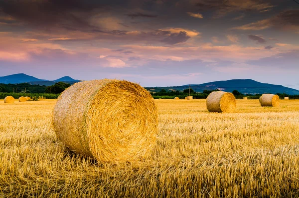 Szénabálák a pályán — Stock Fotó