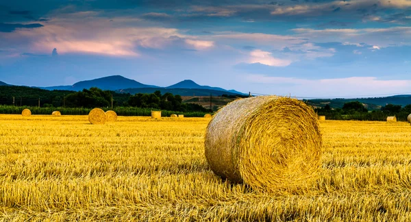 Hay bales on the field Royalty Free Stock Photos