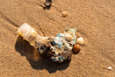 Deniz plastik çöpü. Plastik şişe sahilde, deniz suyuyla atılıyor. Plastik atık, deniz kıyısına sürüklenmiş.