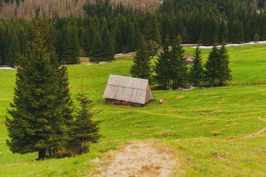 Shepherd 'ın kulübesi Meadow' da. Zakopane 'deki (Polonya) dağlık ahşap kulübe. Tatra dağlarında geleneksel ahşap kulübe. Dağ eteğindeki çayırda eski bir çoban kulübesi