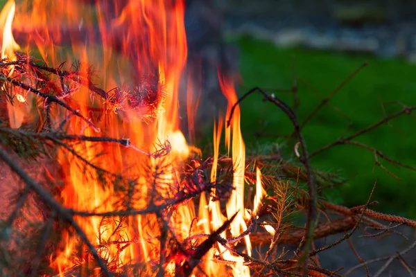 Späten Abend Lagerfeuer Brennendes Lagerfeuer Abend — Stockfoto