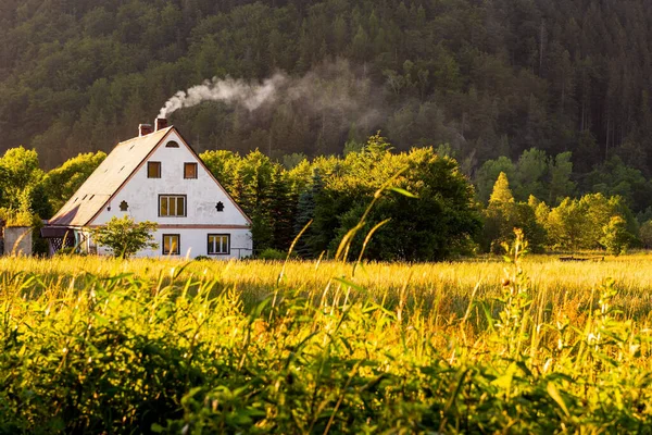 Kırsal manzara, çam ormanının yanındaki bacadan duman çıkan geleneksel bir Polonya kır evi. Gün batımında uzaktaki kır evi.