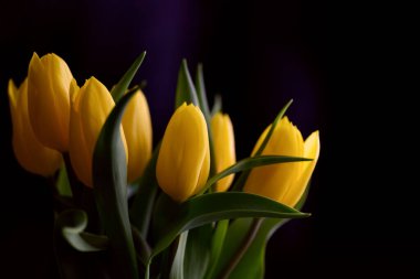 Vazoda bir buket sarı lale