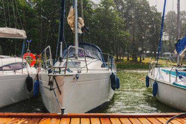 Yağmurlu bir günde bir göl koyuna demirlenmiş yatlar. Deniz yaşamı tarzı.