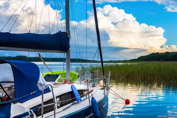 Witte Blauwe Zeilboot Afgemeerd Een Meer Met Riet Een Achtergrond — Stockfoto