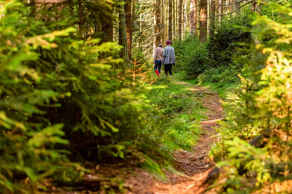 Gente Caminando Por Sendero Bosque Profundo Montaña Mesa Parques Naturales — Foto de Stock