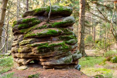 Ormanın derinliklerinde kayalar ve masa dağları, vahşi doğa manzarası, yatay fotoğraf