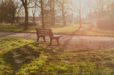 Sonbahar mevsiminde, güneşli bir sabahta, şehir parkında eski ahşap bir bank.