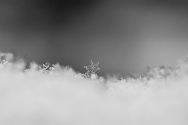 Taze Beyaz Kar 'ın yakın plan resmi. Kar Arkaplanı