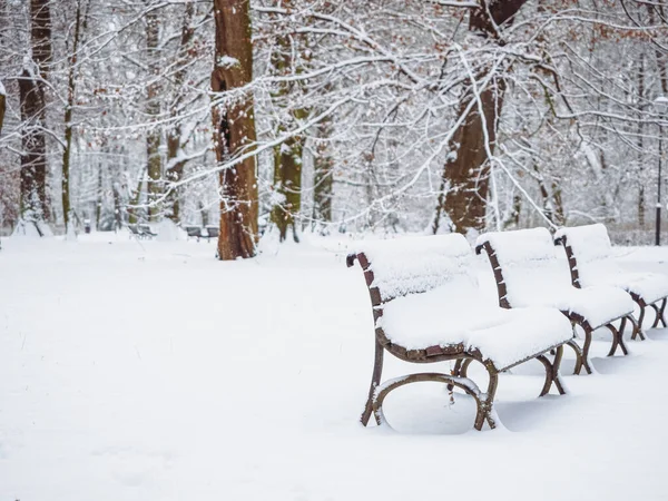 Bancos Parque Cidade Coberto Com Neve Fresca Parque Cidade Uma — Fotografia de Stock