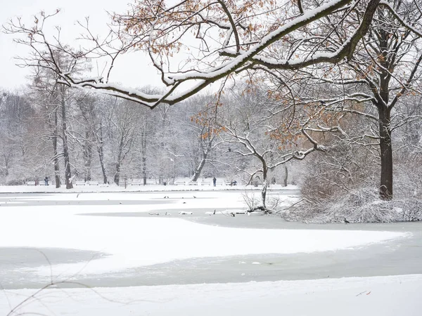 Lago Congelado Parque Cidade Uma Estação Inverno Após Queda Neve — Fotografia de Stock