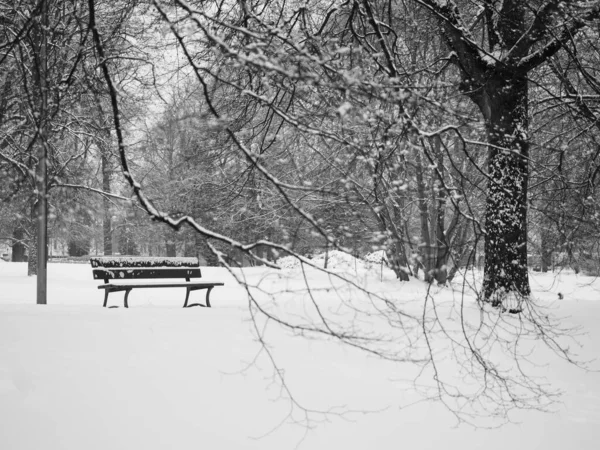 Ławka Parku Miejskim Pokryta Świeżym Śniegiem Park Miejski Sezonie Zimowym — Zdjęcie stockowe