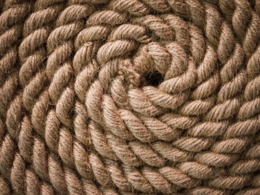 Deniz ipe sarılmış, düz uzanmış ve yakın görünüm