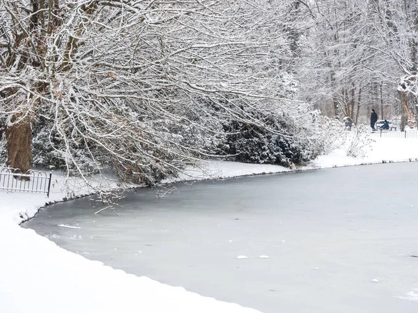 Bevroren Meer Stadspark Een Winterseizoen Sneeuwval — Stockfoto