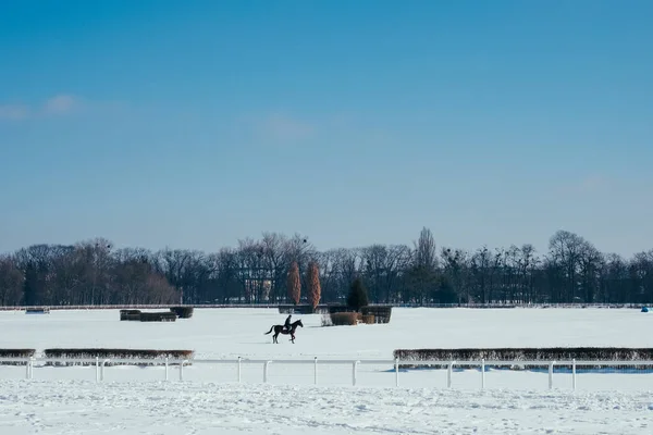 Winter Scene Van Hippodrome Paardrijden Het Wintersportveld — Stockfoto