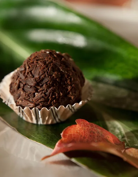 Läckra choklad handgjorda praliner-söt mat — Stockfoto