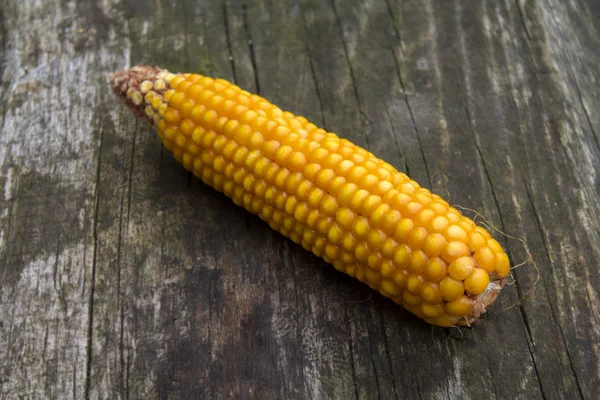 Fresh corn on wooden table — Stock Photo, Image