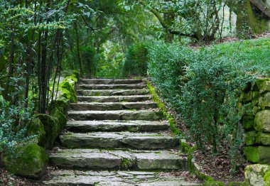 Terk edilmiş binada merdiven