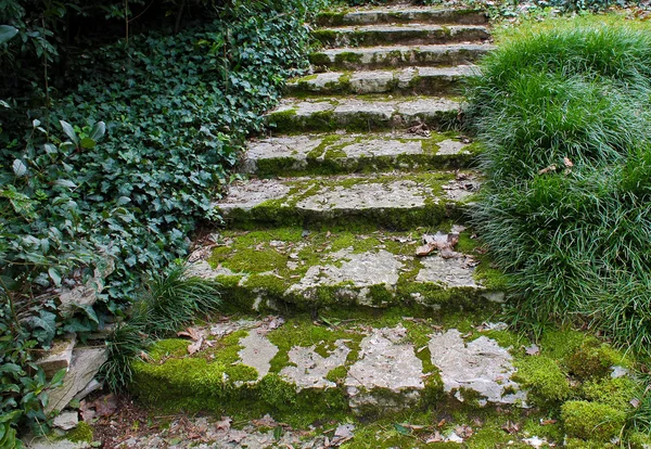 Terk edilmiş binada merdiven