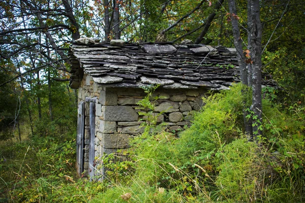 Ormanda terk edilmiş taş ev — Stok fotoğraf