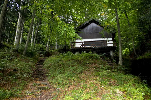 House in a mountain forest — Stock Photo, Image