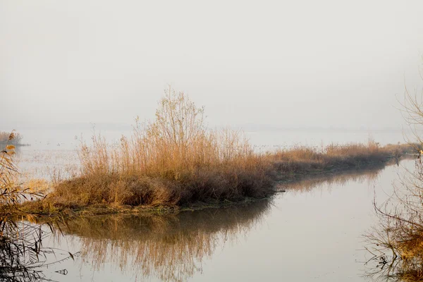 Morgennebel vorbei, See Stockbild