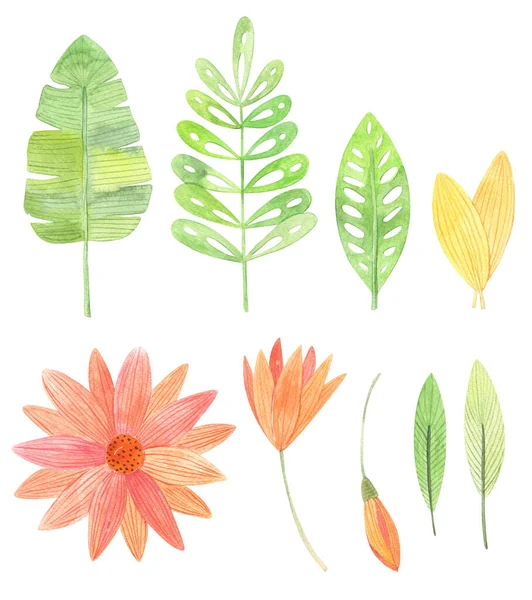 Aquarel Met Hand Getrokken Elementen Geïsoleerd Bladeren Bloemen Illustratie Set — Stockfoto