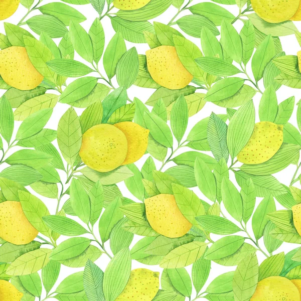Seamless Pattern Juicy Lemon Garden Watercolor Hand Drawn Illustration White — Stock Photo, Image