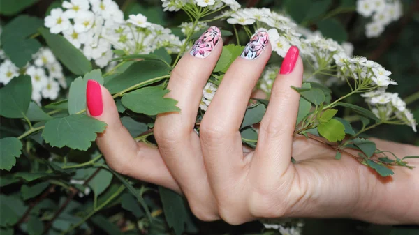 Desenho de unhas. Tinta de unhas de manicure  . — Fotografia de Stock