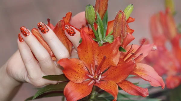 Manicura pintura de uñas  . — Foto de Stock