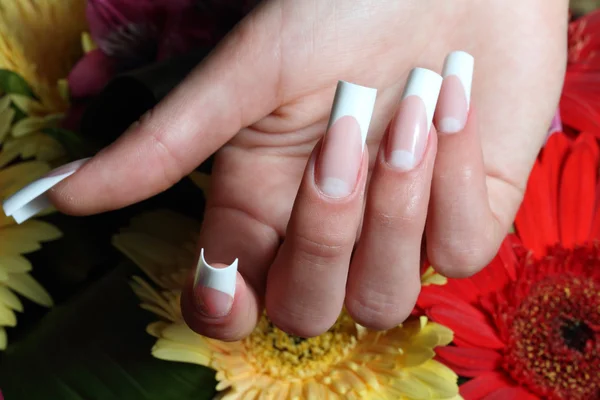 Beautiful Female Hands. — Stock Photo, Image