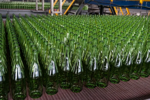 Many bottles on conveyor belt in glass factory