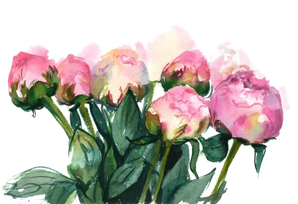 Букет розовых пионов — стоковое фото