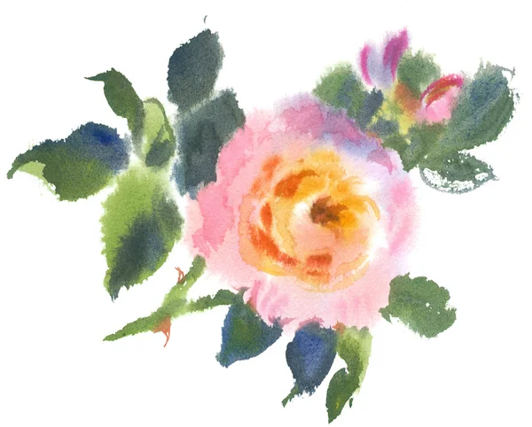Akvarel žlutá růžová růže — Stock fotografie