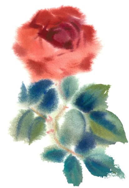 Aquarelle roses rouges — Photo