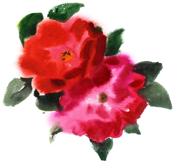 Rote Rosen, Aquarell — Stockfoto