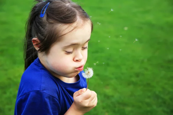 Niña soplando diente de león — Foto de Stock