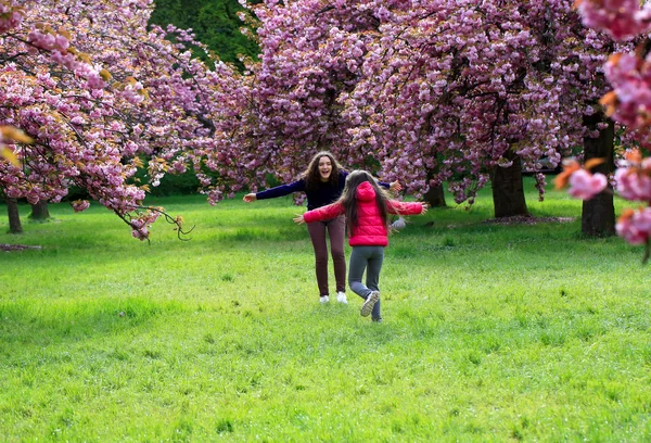 Mutlu aile anlar — Stok fotoğraf