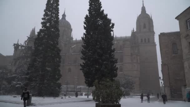 Nieve Salamanca Ciudad España Acontecimiento Muy Raro — Vídeos de Stock