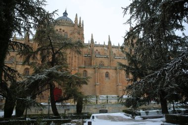 Salamanca, İspanya 'da kar çok nadir görülür.