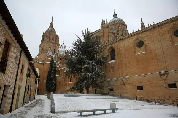 Nieve Salamanca Ciudad España Acontecimiento Muy Raro —  Fotos de Stock