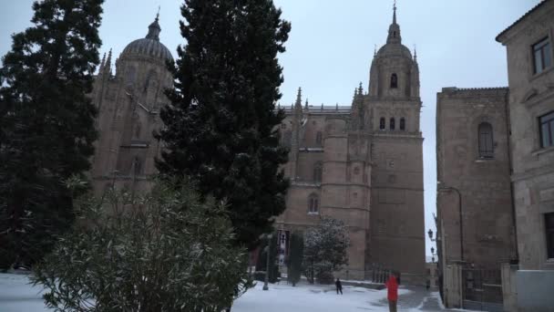 Χιόνι Στη Σαλαμάνκα Της Ισπανίας Είναι Ένα Πολύ Σπάνιο Γεγονός — Αρχείο Βίντεο