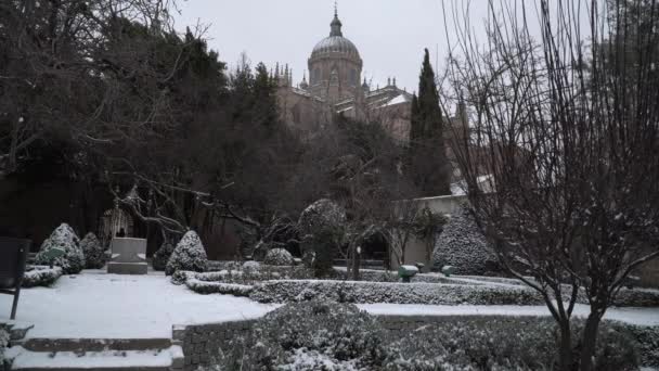 Nieve Salamanca Ciudad España Acontecimiento Muy Raro — Vídeos de Stock