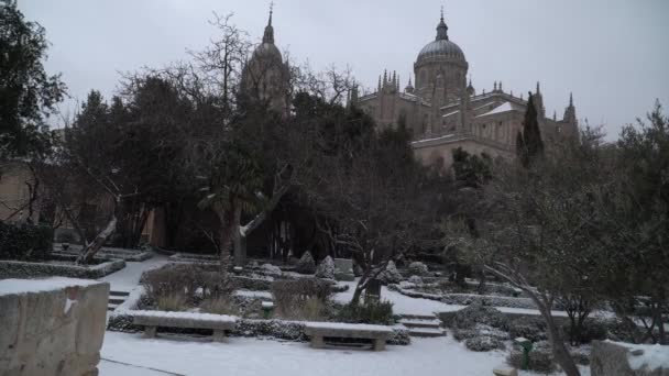 Nieve Salamanca Ciudad España Acontecimiento Muy Raro — Vídeos de Stock